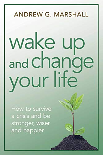 Book Cover Wake Up and Change Your Life: How to Survive a Crisis and be Stronger, Wiser, and Happier