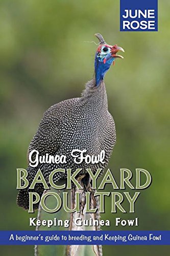 Book Cover Guinea Fowl, Backyard Poultry: Keeping Guinea Fowl
