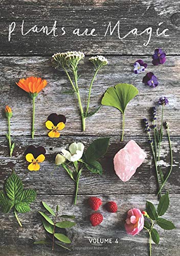 Book Cover Plants Are Magic Magazine - Volume 4: For makers, dreamers & plant lovers