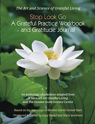Book Cover Stop Look Go: A Grateful Practice Workbook and Gratitude JournalA Grateful Practice