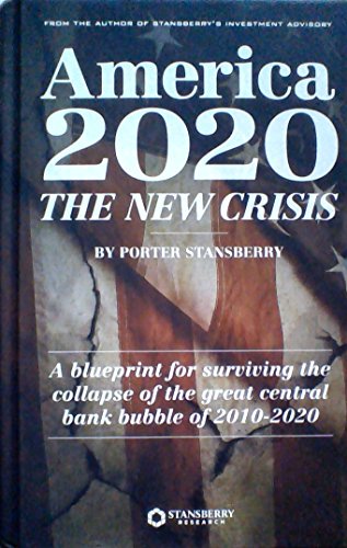 Book Cover America 2020: The New Crisis (A Blueprint for Surviving the Collapse of the Great Central Bank Bubble of 2010-2020) 2017 Edition