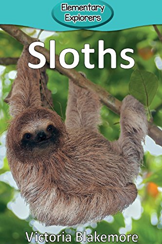 Book Cover Sloths (Elementary Explorers)