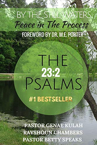 Book Cover By the Still Waters: Peace in The Process (Psalm 23) (Volume 2)