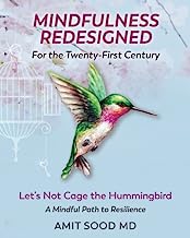 Book Cover Mindfulness Redesigned for the Twenty-First Century: Let's Not Cage the Hummingbird  A Mindful Path to Resilience