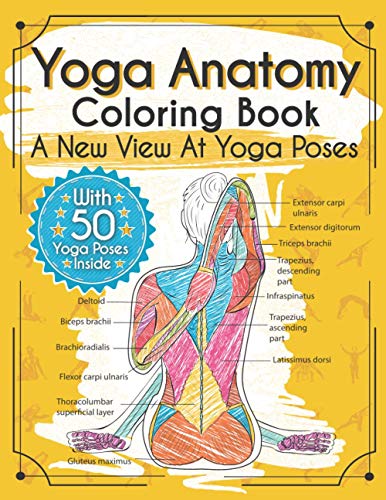 Book Cover Yoga Anatomy Coloring Book: A New View At Yoga Poses