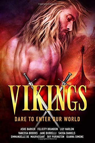 Book Cover Vikings: nine warrior-hero historical romances