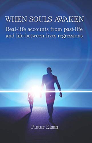 Book Cover When Souls Awaken: Real-Life Accounts of Past-Life and Life-Between-Lives Regressions