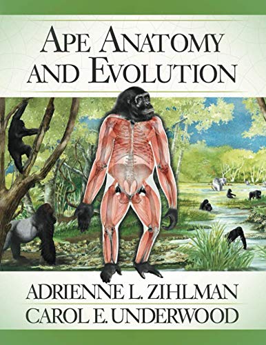 Book Cover Ape Anatomy and Evolution