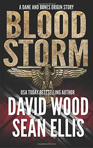 Book Cover Bloodstorm: A Dane and Bones Origin Story