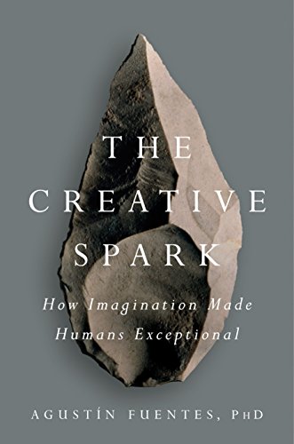 Book Cover The Creative Spark: How Imagination Made Humans Exceptional