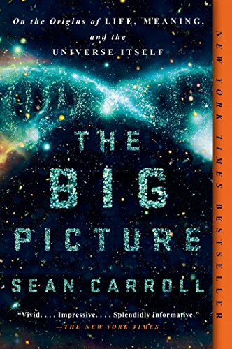 Book Cover The Big Picture: On the Origins of Life, Meaning, and the Universe Itself