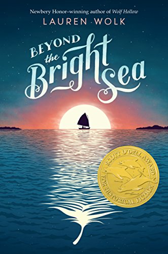 Book Cover Beyond the Bright Sea