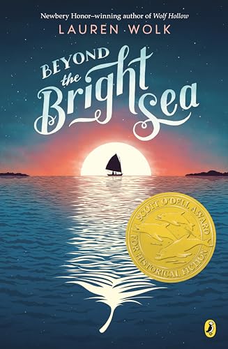 Book Cover Beyond the Bright Sea