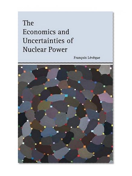 The Economics and Uncertainties of Nuclear Power