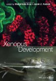 Xenopus Development