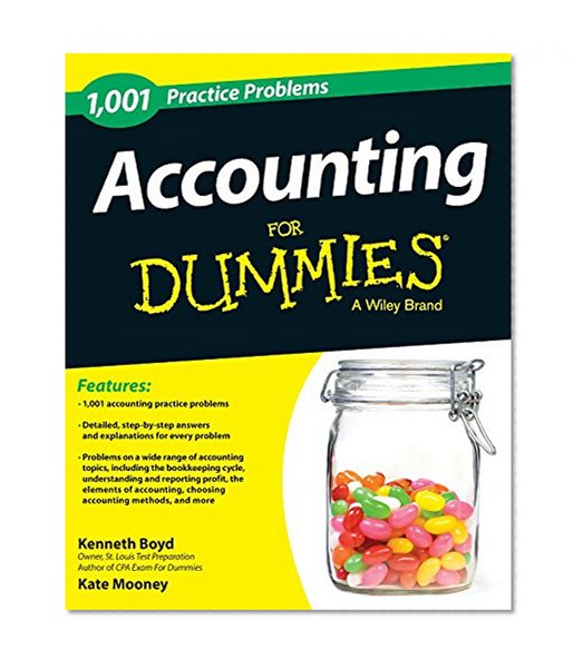 Book Cover 1,001 Accounting Practice Problems For Dummies