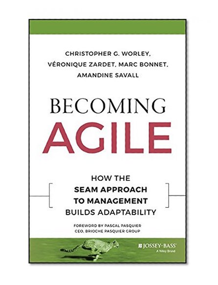 Becoming Agile: How the SEAM Approach to Management Builds Adaptability (J-B Short Format Series)
