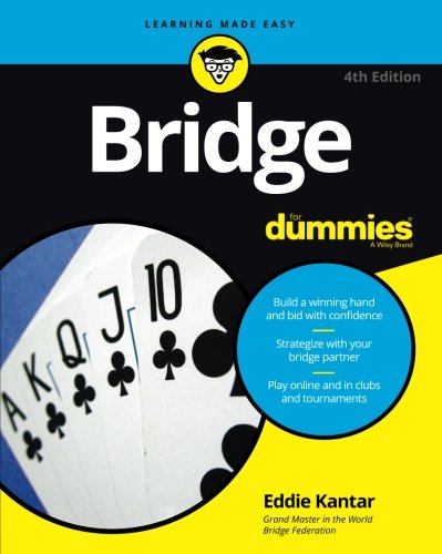 Book Cover Bridge For Dummies