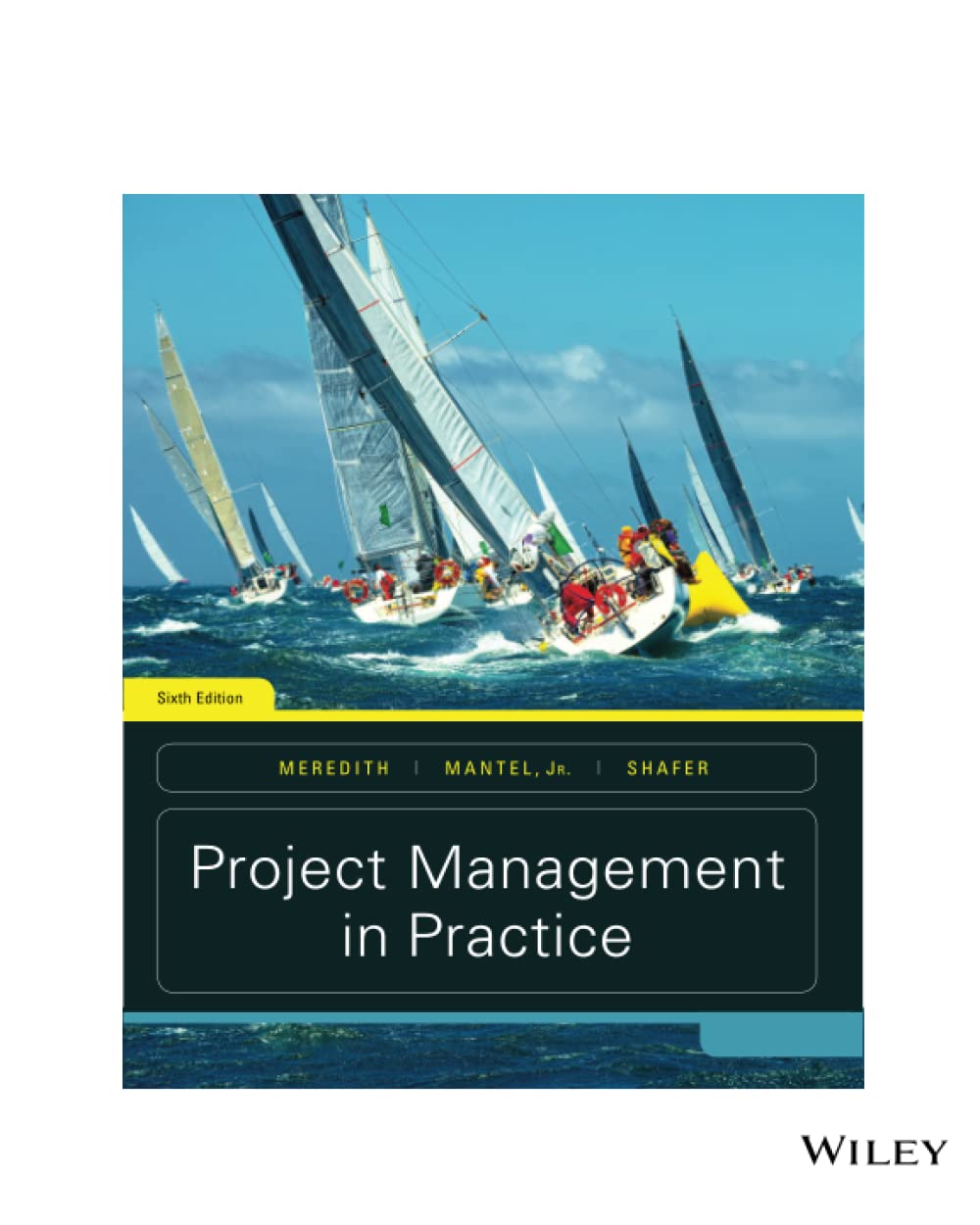 Book Cover Project Management in Practice