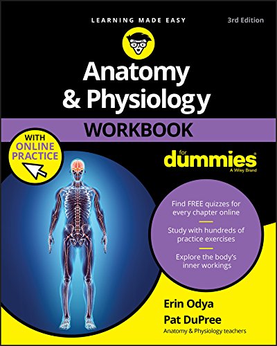 Book Cover Anatomy & Physiology Workbook For Dummies with Online Practice