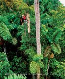 Environmental Science