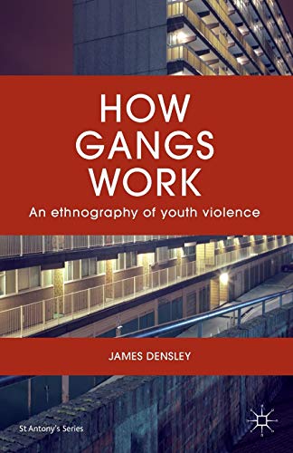 Book Cover How Gangs Work: An Ethnography of Youth Violence (St Antony's Series)