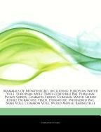 Mammals Of Montenegro, including: European Water Vole, European Mole, Parti-coloured Bat, Eurasian Pygmy Shrew, Common Shrew, Eurasian Water Shrew, ... Vole, Common Vole, Wood Mouse, Barbastelle