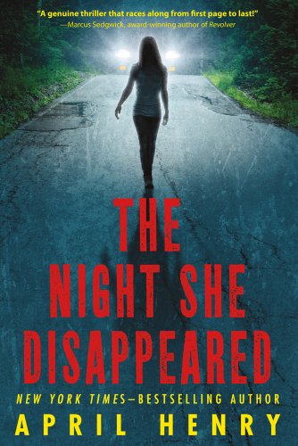 Book Cover The Night She Disappeared