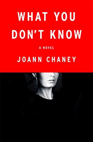 Book Cover What You Don't Know: A Novel