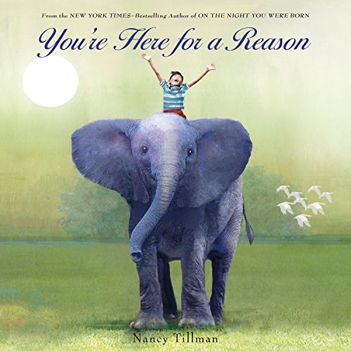 Book Cover You're Here for a Reason (Nancy Tillman Collection)