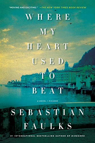 Book Cover Where My Heart Used to Beat: A Novel