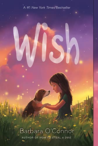 Book Cover Wish