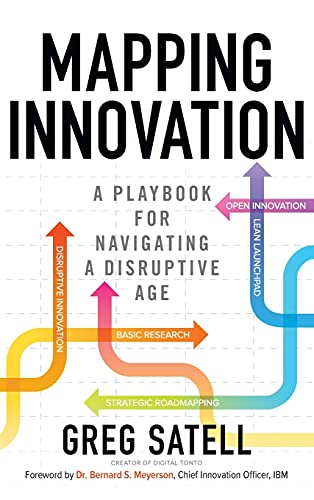 Book Cover Mapping Innovation: A Playbook for Navigating a Disruptive Age (Business Books)