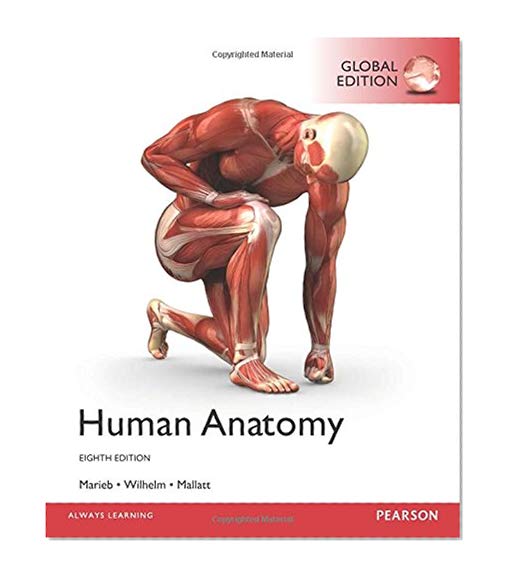 Book Cover Human Anatomy