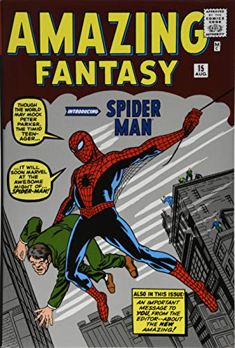Book Cover The Amazing Spider-Man Omnibus Vol. 1
