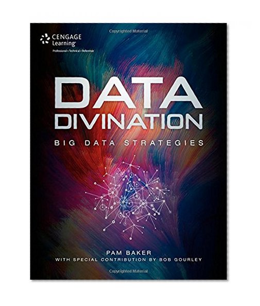 Data Divination: Big Data Strategies