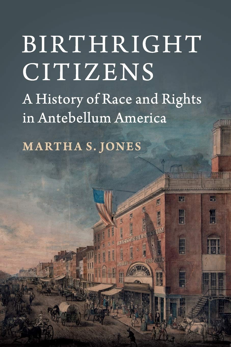 Book Cover Birthright Citizens: A History of Race and Rights in Antebellum America (Studies in Legal History)