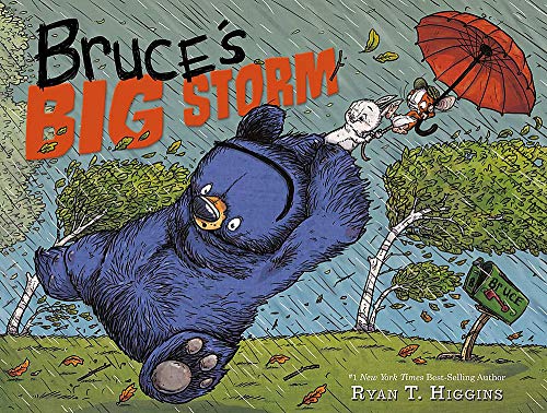 Book Cover Bruce's Big Storm (Mother Bruce Series)
