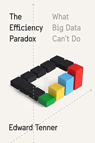 Book Cover The Efficiency Paradox: What Big Data Can't Do