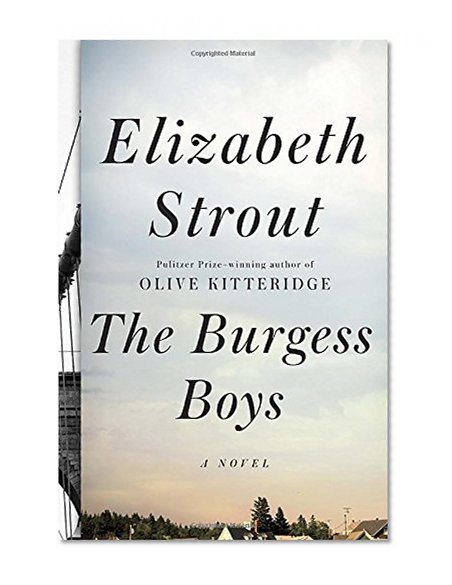 Book Cover The Burgess Boys: A Novel