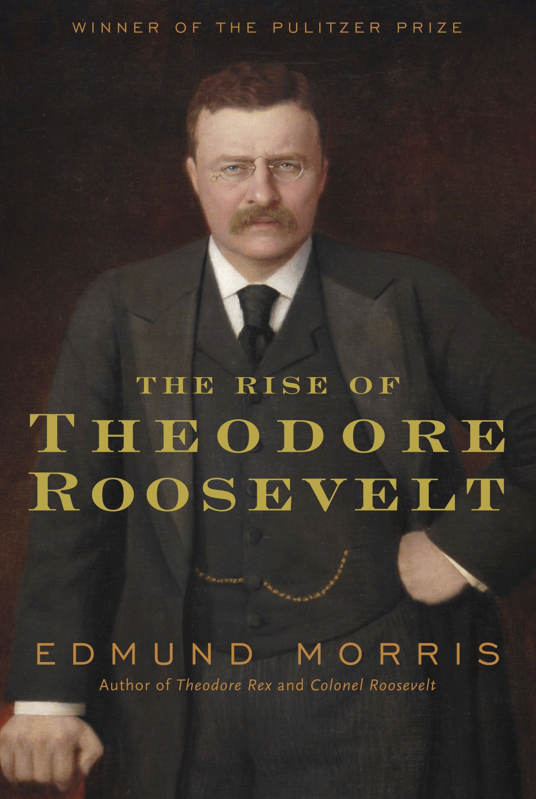 Book Cover The Rise of Theodore Roosevelt