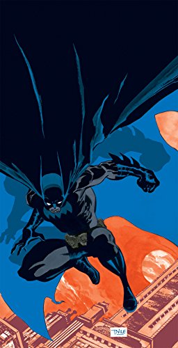 Book Cover Batman: Haunted Knight (New Edition)