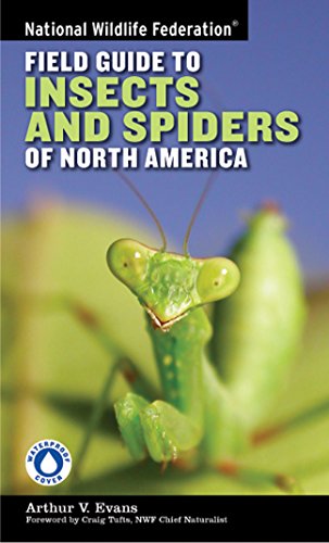 Book Cover National Wildlife Federation Field Guide to Insects and Spiders & Related Species of North America