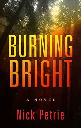 Book Cover Burning Bright (Wheeler Large Print Book Series)