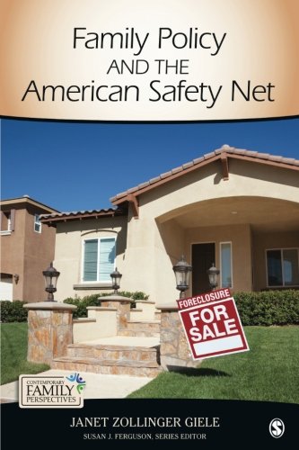 Book Cover Family Policy and the American Safety Net (Contemporary Family Perspectives (CFP))