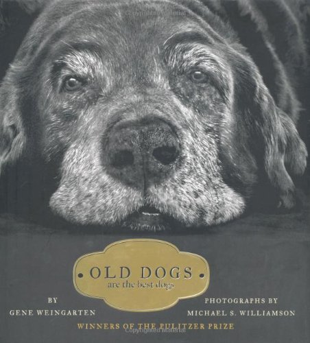 Book Cover Old Dogs: Are the Best Dogs