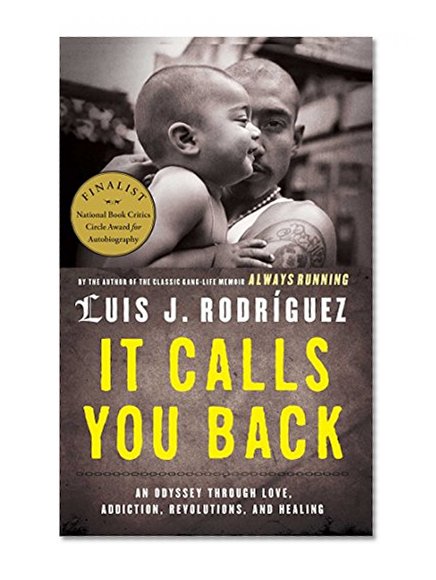 Book Cover It Calls You Back: An Odyssey through Love, Addiction, Revolutions, and Healing