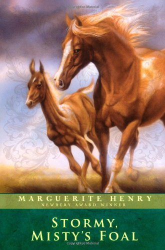 Book Cover Stormy, Misty's Foal