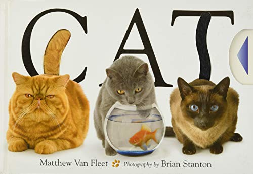 Book Cover Cat