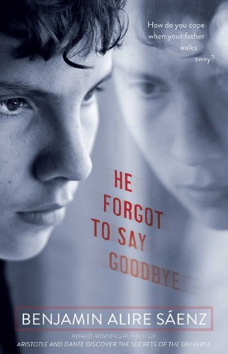 Book Cover He Forgot to Say Goodbye